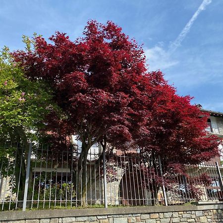La Casa Di Nina - Traves Villa Pessinetto Exterior foto